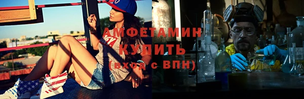 твердый Инта