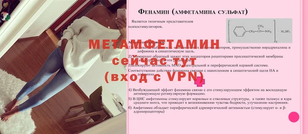 твердый Инта