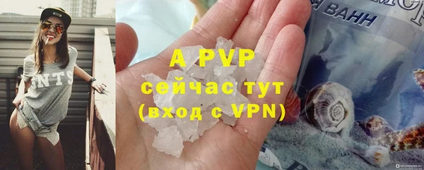 твердый Инта