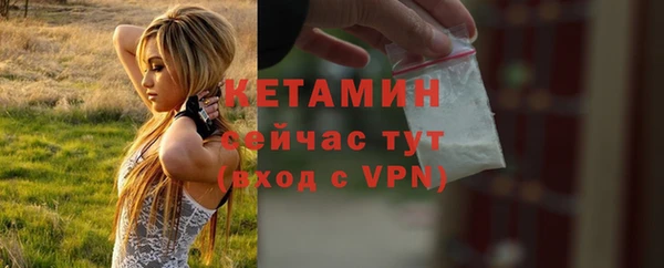 твердый Инта