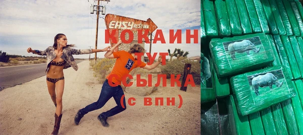 твердый Инта