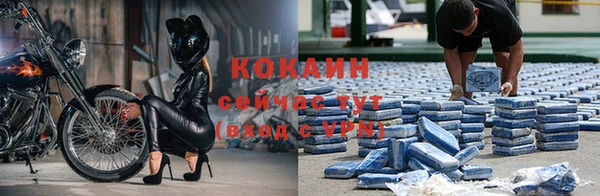 твердый Инта