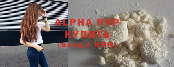 твердый Инта