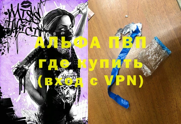 твердый Инта