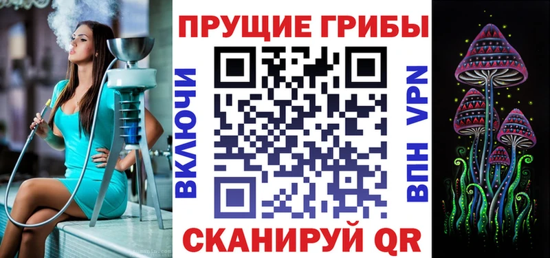 Купить где  Менделеевск  Псилоцибиновые грибы GOLDEN TEACHER 